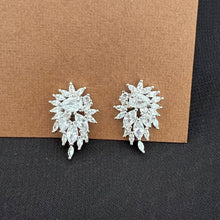 Load image into Gallery viewer, Earring - Simple zircon leaves shape

